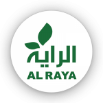 الراية